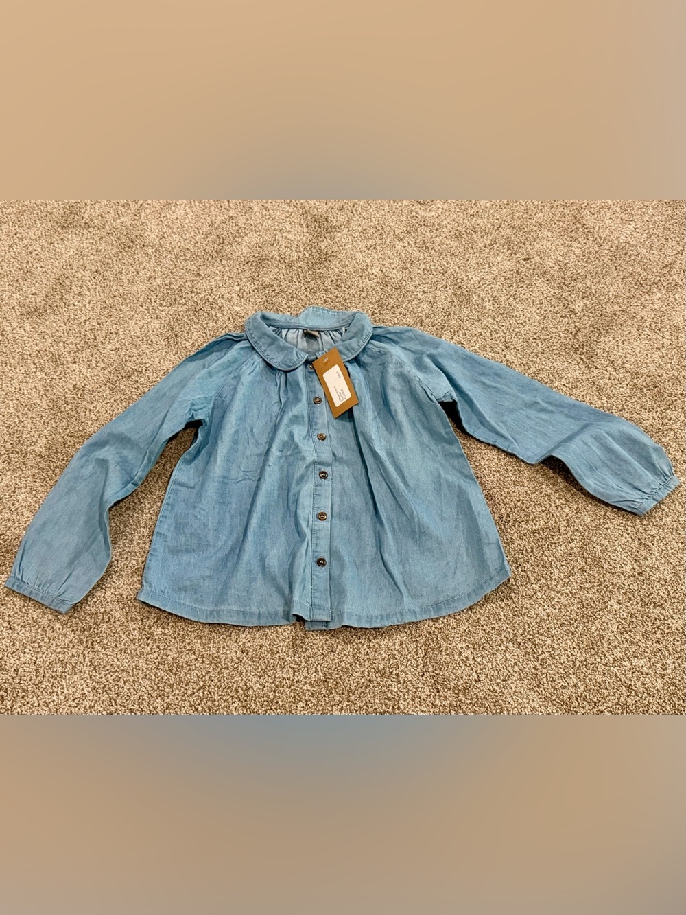 Light Blue Denim Button-Front Blouse